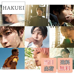 �y���������zRAYS(AL)(�ʏ��) - Snow Man