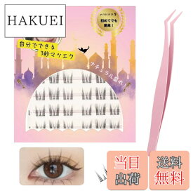 【送料無料】つけまつげ のり不要 【日本国内JIS基準検査済み】グルーなしつけまつげ グルー不要 つけまつ毛 3Dつけまつげ 接着剤不要 ブラック 1秒マツエク 部分つけまつげ 初心者 で簡単装着 立体感 可愛い 自然な束感 人気 耐久性が高い アイメー 色：02束感ドールeye