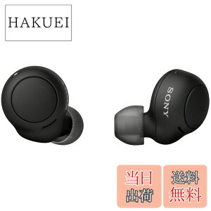 �y���������z�\�j�[(SONY) ���S���C�����X�C���z�� WF-C500 : /�y�ʏ��^5.4g/�����x�ʘb�i��/�ȒP�y�A�����O/IPX4�h�H���\/�u���b�N WF-C500 BZ