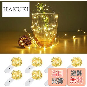 �y���������zLighting EVER LED�X�g�����O���C�g �d�r���t�F�A���[���C�g LED�C���~�l�[�V���� 1m 20LED �d���F �h���������C���[ �N���X�}�X���� ������ �p�[�e�B�[ �������C�g �N���X�}�X�c���[