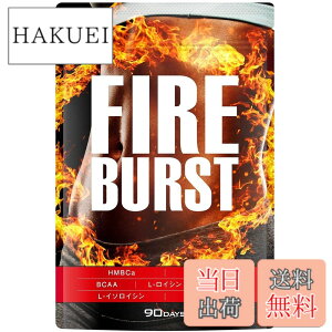�y���������z�yFIRE BURST�z L-�J���j�`�� BCAA�z�� �T�v�� ���I�f�� 90����