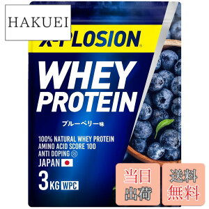 �y���������z�G�N�X�v���[�W���� �v���e�C�� 3kg �z�G�C�v���e�C�� �u���[�x���[�� WPC X-PLOSION ���{����