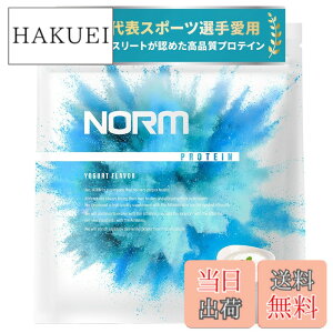 �y���������zNORM �m�[�� �z�G�C �v���e�C�� �l�H�Ö����s�g�p ���[�O���g 1kg 100���ȏ�̃g�b�v�A�X���[�g���p WPC WHEY PROTEIN �z�G�C�v���e�C�� ��������