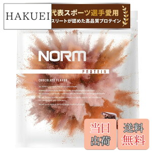 �y���������zNORM �m�[�� �z�G�C �v���e�C�� �l�H�Ö����s�g�p �`���R���[�g 1kg 100���ȏ�̃g�b�v�A�X���[�g���p WPC WHEY PROTEIN �z�G�C�v���e�C�� ��������