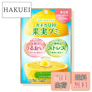 �y���������zKANEKA �J�l�JQ10 �ʎ��O�~ 40gx10�� �������\�[�_�� �Ҍ��^�R�G���U�C��Q10�z�� �V�`���A�Y�������ʏ`6���g�p