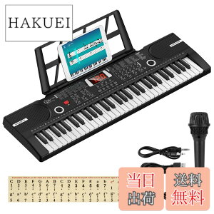 �y���������zHricane �L�[�{�[�h �s�A�m �d�q�s�A�m 61���� 200��މ��F 200��ރ��Y�� 60�ȃf���� LCD�f�B�X�v���C���� ���錮�� �y�� ���{��p�l�� �w�b�h�t�H���Ή� �q�� ���S�� ���K�p USB�P�[