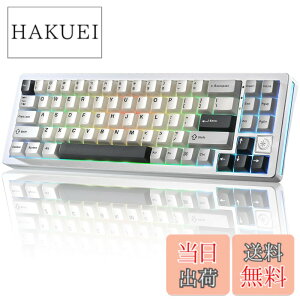 �y���������zYUNZII AL71 ���J�j�J���L�[�{�[�h 68% �R���p�N�g �t���A���~CNC���H �K�X�P�b�g�\�� [Bluetooth/2.4G/USB-C �O���[�h�ڑ�] �z�b�g�X���b�v�Ή� NKRO RGB�o�b�N���C�g Win/Mac���Ή� �Z�K�F��