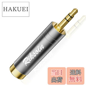 �y���������z6.35mm��3.5mm�ϊ��v���O�ARIKSOIN�i1�Z�b�g�j�X�e���I�~�j�v���O�i���X�j���X�e���I�W���v���O�i�I�X�j�C���z���v���O�W���b�N�ϊ��A24K�����b�L�A�d�q�s�A�m�A�w�b�h�z���A�A