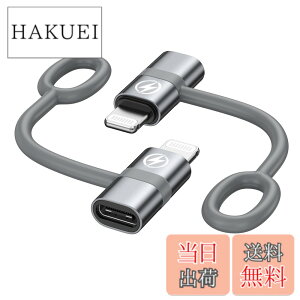 �y���������zRAVIAD Type C to ���C�g�j���O �ϊ��A�_�v�^ (2�Z�b�g) 36W PD�}���[�d PD�`�b�v���� �����f�[�^�]�� USB-C i-Phone �ϊ��R�l�N�^ �A���~�����O�� �V���R���o���h�݌v �^�C�vC����iOS�ϊ�