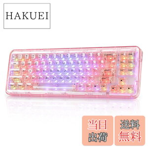 �y���������zYUNZII X71 ���J�j�J���Q�[�~���O�L�[�{�[�h �����L�[�L���b�v 71�L�[ 68%�z�� ���C�����X �z�b�g�X���b�v�Ή� BT5.0/2.4G/USB-C �K�X�P�b�g���� RGB ���� Windows/Mac�p �Z�K�F�؎擾�i�N��