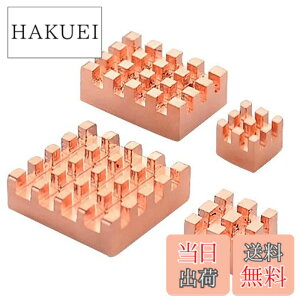 �y���������zHaojiaho Raspberry Pi�p �q�[�g�V���N ���� 4�Z�b�g Raspberry Pi 4B�p �M�`�����S���e�[�v �t�� ���q�[�g�V���N