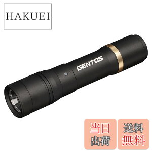 �y���������zGENTOS(�W�F���g�X) �����d�� LED���C�g �[�d�� 200~900���[���� ���N�V�[�h RX-285R/RX-286R/RX-304R/RX-386R/RX-486PB �F�F�u���b�N�A�T�C�Y�F���a30.1x135.7mm