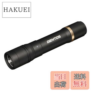 �y���������zGENTOS(�W�F���g�X) �����d�� LED���C�g �[�d�� 200~900���[���� ���N�V�[�h RX-285R/RX-286R/RX-304R/RX-386R/RX-486PB �F�F�u���b�N�A�T�C�Y�F���a30.1x150.4mm