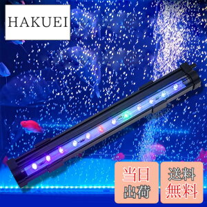 �y���������z���� ���C�g ���^ LED �C�A���C�g �A�N�A���E�����C�g �~�j �������C�g �M�ы����C�g ������ RGB �����ِ����p�Ɩ� ���� �_�f�⋋ �Ϗ܋� �M�ы����� �����琬 IP68�h�� ���P�x ��