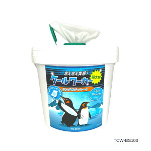 y݌ɕizN[[J[ O{fBV[g TCW-BS100-JP 1ʁi100j75cm x 15cm/ ⊴@{fBV[g Ђ N[ p e ΍ ҏ΍