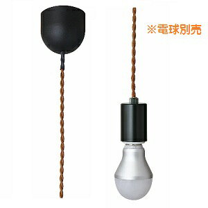 ^H Ɩ CK-3BR  |V[O R[hZbg ˂R[h S910mm R[h800mm 60W܂ E26 ގ S dʔ