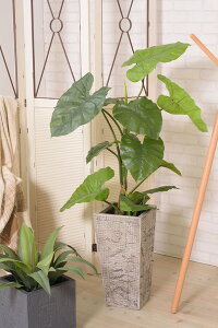 tFCNO[ NYC GRN-16 W57×D57×H117 tFCNO[ ϗtA lHϗtA t  CeA  O[ [t  K[f   J AZUMAYAysz