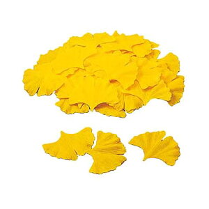 C`E[t LEPT5121 (50Zbg) gt  tFCNO[  CeA fBXvC lHϗtA t 傤