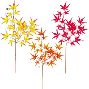 ~WXvC(24) LESP5147 gt  tFCNO[  CeA fBXvC lHϗtA