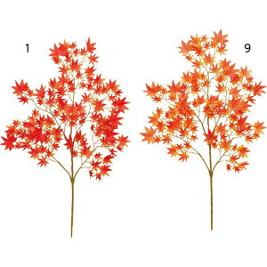 ~WXvC(5/104) LESP5886 gt  tFCNO[  CeA fBXvC lHϗtA