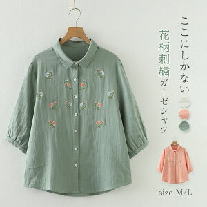 K[[ Vc fB[X Eܕ  ԕ hJ _uK[[ 100% VcuEX K[[Vc  gbvX  l  JWA i` gbvX 2dK[[ ̌^