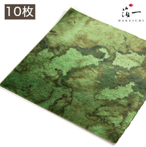 y[֑Ήzʔ O[F OZi10jb̔i͂jbH| p { ޗ H|ޗ pޗ   Ntg