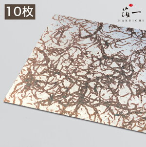 y[֑ΉzFT _ li10jb̔i͂jbH| p | | KX  { ޗ H|ޗ pޗ   Ntg b