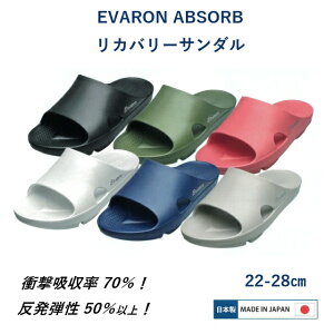 RC-02 �G�o���� ���J�o���[�T���_�� �A�u�\�[�u EVARON ABSORB RC02 ���{�� �Ռ��z�� ���e�� 22cm 28cm ��Ï]���� �����d�� ��t �Ō�t ���m �ۈ�m �h�N�^�[ �i�[�X �i�[�X�V���[�Y ���� ��t �a�@