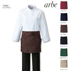 yHX jtH[zGv@JtFGv |GXe100@T-6231 `gZychitosez ͂Ed