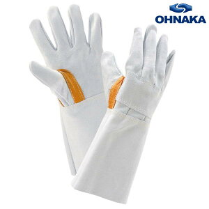 Ɗv o5{w̍bAet 56T 10og 咆Y nڗp