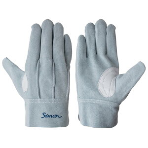 v o CS111 ΋Z v  v  SIMONu|Xgv  s