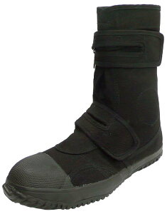 SC ĂHG N8800 ƌC  т^Cv ̂΂̂ c