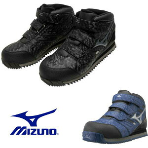 SC ~Ym I[}CeB WF F1GA1804 p ϊ 4cmh