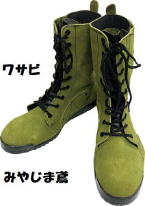 SC pSC ݂₶ܓ N4110 RiTrj