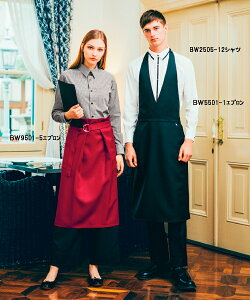 BW9501 BLANCE �j�����p�T�����G�v����