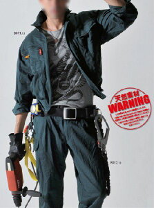 ƕ o[giBURTLEj [N{bNX 8011 u] S`LL