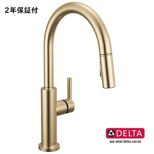 DELTA f^ jR Lb`  ߐ  VOo[ VpuY 19867LF-CZ A Ki ֌  