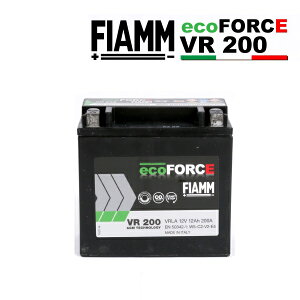 11/1限定5倍P FIAMM(フィアム) 輸入車用バッテリー ecoFORCE AGM FM7906198 互換(BTX14) (品番 VR200)