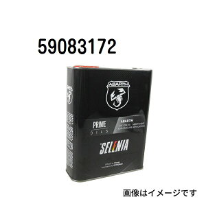 GWIC SELENIA ABARTH Sx 10W-50 e 2L FIAT T-59083172