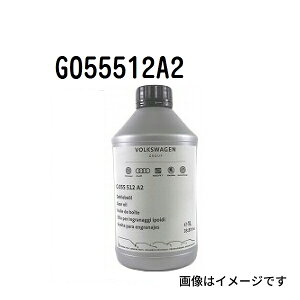 MAIC e 1L VW T-G055512A2