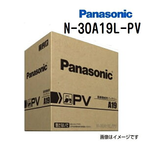 SS����P5�{ N-30A19L/PV PANASONIC(�p�i�\�j�b�N) �_�@���@�p�o�b�e���[ 30A19L