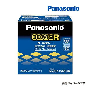 11/15{P N-30A19R/SP PANASONIC(pi\jbN) YԊ{XybNobe[ 30A19R
