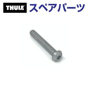 11/1限定5倍P THULE(スーリー) カーキャリア スペアパーツ ボルト イージーベース TH1500050698 (トウバーマウントサイクルキャリア Thule EasyBase 949)