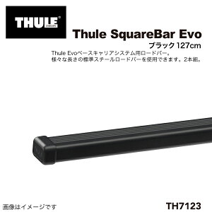 10/15{P THULE(X[[) LA o[ XNGAo[ 2{ 127CM TH7123
