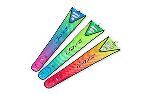 楽天市場】Prism Kite Technology Jazz デュアルラインスポーツカイト