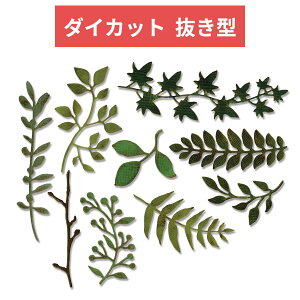 Sizzix ^ A `[t 9p[cZbg 661206 O[K[f Thinlits Die Garden Greens Tim Holtz _CJbg G{X XeV _C