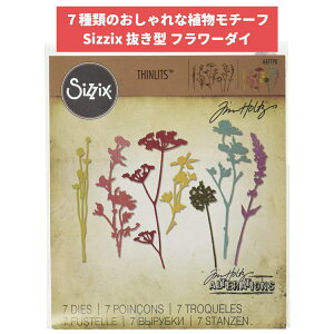 Sizzix THINLITS(Vbc) Cht[ _C ^ 7Zbg Designed byFTim Holtz _CJbg G{X XeV