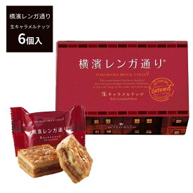 横浜レンガ通り 生キャラメルナッツ 6個入 横浜土産 横浜 お土産 横濱レンガ通り 横浜 赤レンガ 倉庫 お取り寄せスイーツ ウィッシュボン お菓子 プレゼント ギフトカード