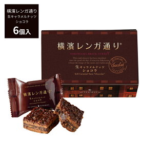 横濱レンガ通り（ショコラ）6個入 生キャラメルナッツ 横浜土産 横浜 お土産 横浜 赤レンガ 倉庫 お取り寄せスイーツ ウィッシュボン お菓子 プレゼント 赤レンガ ギフトカード