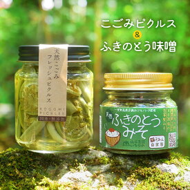 楽天市場 蕗の薹の通販